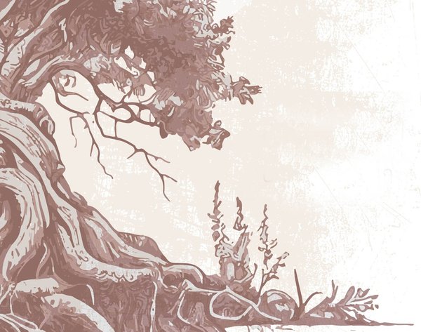 Alberodonte: scienza, botanica, spiritualità, affetto e fantasia