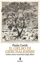 Il gelso di Gerusalemme