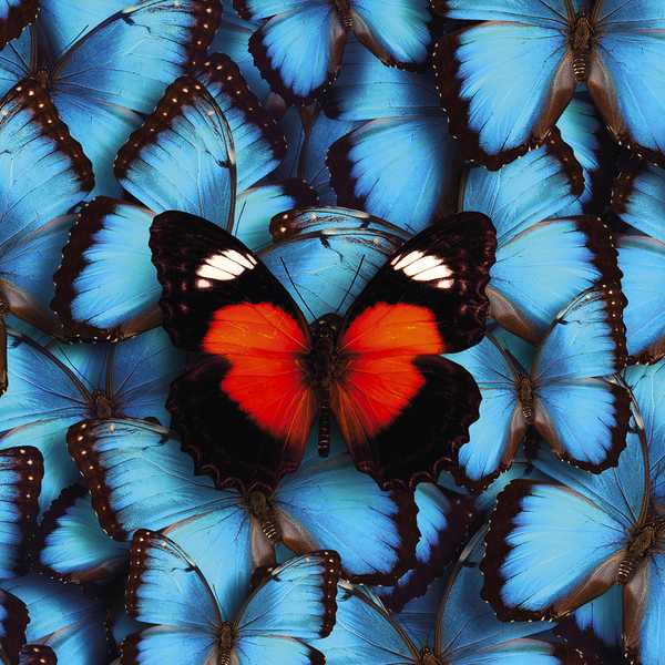 Roberto Emanuelli racconta “Tutta questa felicità”